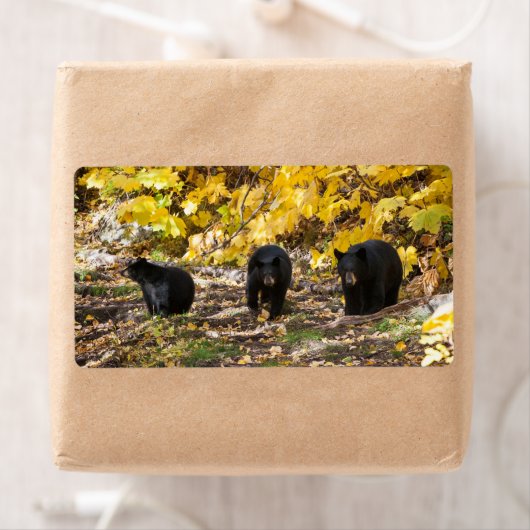 三熊 ラベル (インサイチュ)