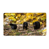 三熊 ラベル (正面)