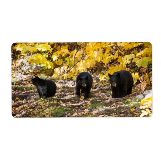 三熊 ラベル (正面)