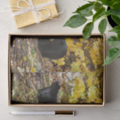 三熊 薄葉紙 (ギフト)