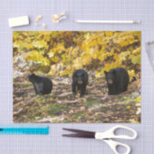 三熊 薄葉紙 (クラフト)