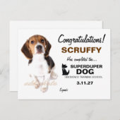 三百十一すごい人証明書 ポストカード (正面/裏面)