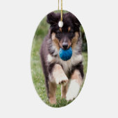 三着色されたオーストラリアの羊飼いの子犬 セラミックオーナメント (右)