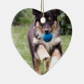 三着色されたオーストラリアの羊飼いの子犬 セラミックオーナメント (右)