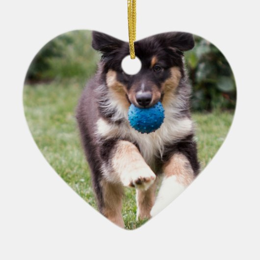 三着色されたオーストラリアの羊飼いの子犬 セラミックオーナメント (正面)