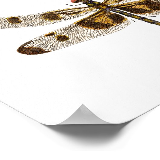 三種トンボ ポスター (角)