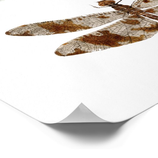 三種トンボ ポスター (角)