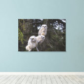 三素晴らし角フクロウ キャンバスプリント (インサイチュ (ウッドフロア))