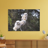 三素晴らし角フクロウ キャンバスプリント (インサイチュ (リビング))