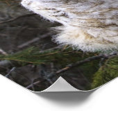 三素晴らし角フクロウ ポスター (角)