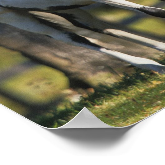 三絵を描頭 ポスター (角)