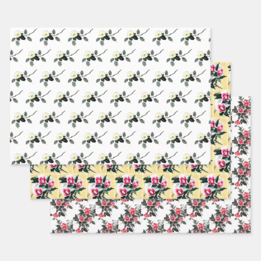 三絵画色 ラッピングペーパーシート (セット)