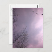 三羽の鳥が飛ぶように高い ポストカード (正面/裏面)