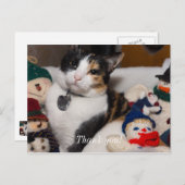 三色ねこ と 雪だるま ポストカード (正面/裏面)