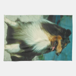 三色のコリー犬の台所タオル キッチンタオル