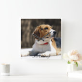 三色のビーグル犬 スクエア壁時計 (ホーム)