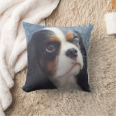 三色の無頓着な装飾用クッション クッション (ブランケット)