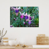 三色の鐘 ポスター (キッチン)