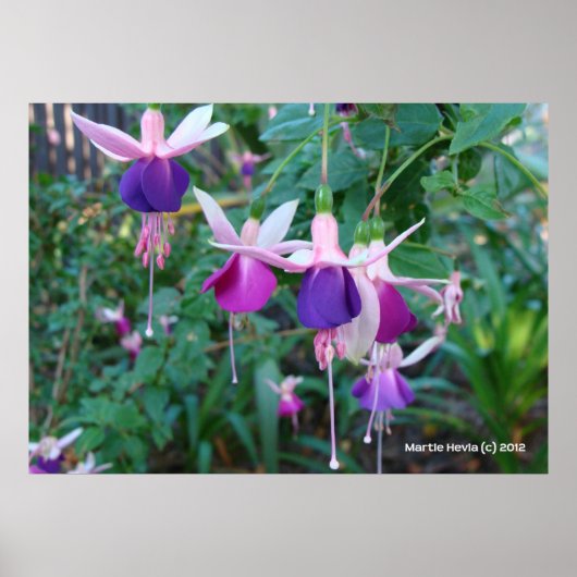 三色の鐘 ポスター (正面)