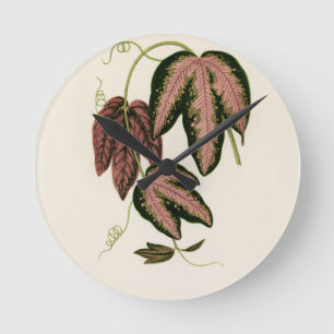 三色パッションつる植物（トリファシタ）  ラウンド壁時計