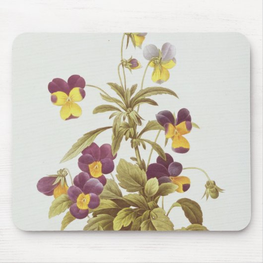 三色ビオラ マウスパッド (正面)