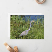 三色ヘロン ノートカード (正面/裏面インサイチュ)