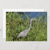 三色ヘロン ノートカード (正面/裏面)