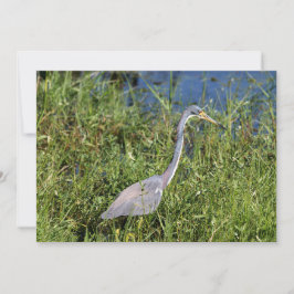 三色ヘロン ノートカード