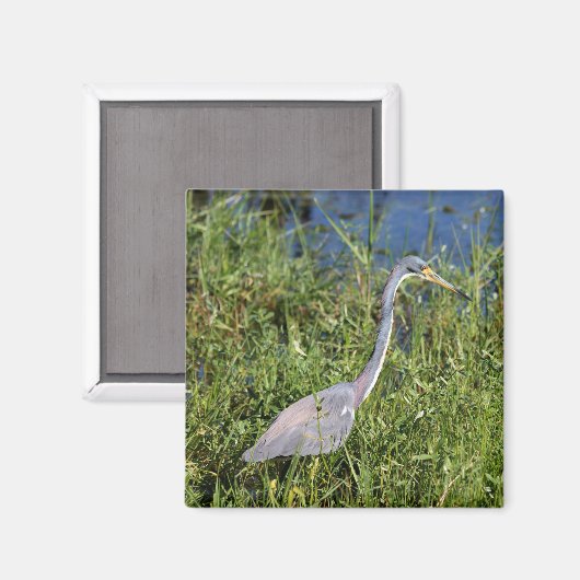 三色ヘロン マグネット (正面/裏面)