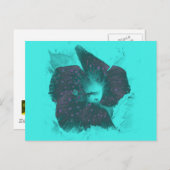 三色抽象芸術ハイビスカス ポストカード (正面/裏面)