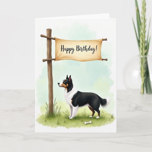 三色犬の誕生日カード カード (正面)