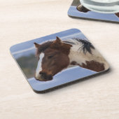 三色馬 コースター (左側)