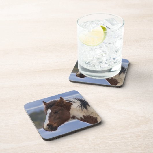 三色馬 コースター (右側)