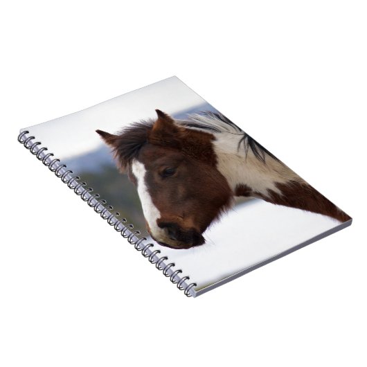 三色馬 ノートブック (右側)