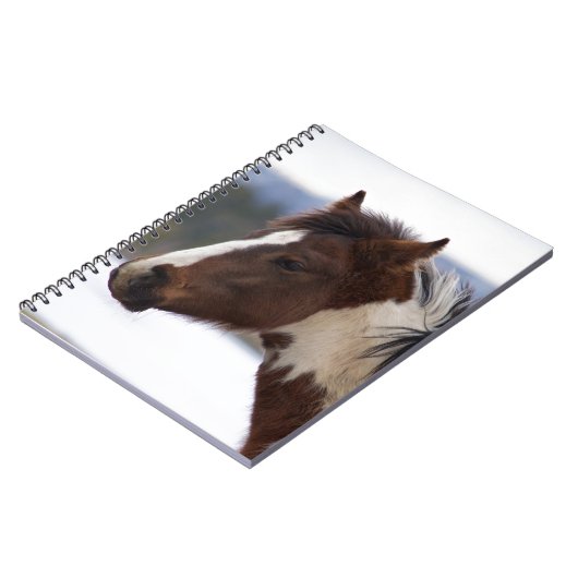 三色馬 ノートブック (左側)