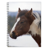三色馬 ノートブック (正面)