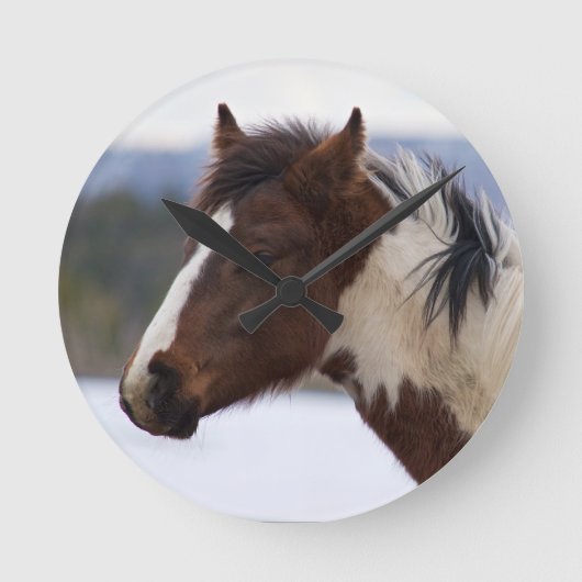 三色馬 ラウンド壁時計 (正面)
