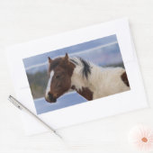 三色馬 長方形シール (封筒)