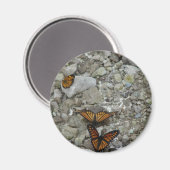 三蝶 マグネット (正面/裏面)