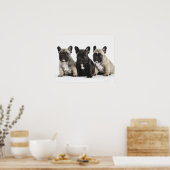 三血小犬 ポスター (キッチン)