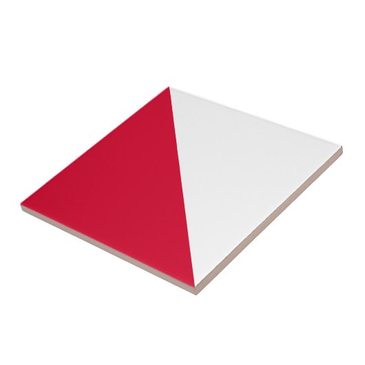 三角形赤 タイル (側面)