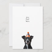 三誕生日犬 招待状 (裏面)