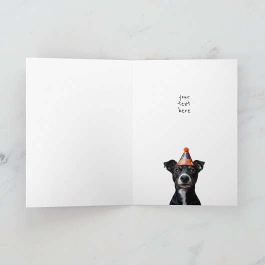 三誕生日犬 招待状 (内部)