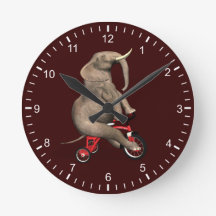 三輪車に乗った可愛い象