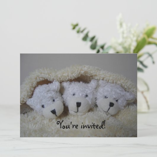 三連はベビーシャワーの招待を受ける 招待状 (スタンド正面)