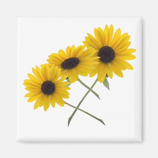 三重ひまわり マグネット (正面)