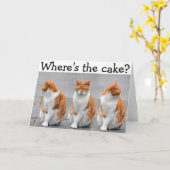 三重猫が付いているハッピーバースデーカード カード (黄色い花)