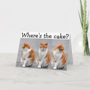 三重猫が付いているハッピーバースデーカード カード