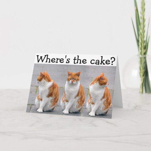 三重猫が付いているハッピーバースデーカード カード (正面)