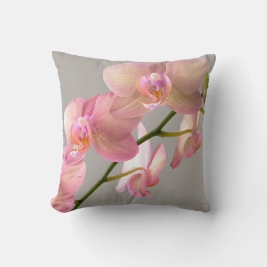 三重脅威 クッション (正面)